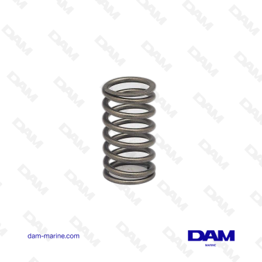 VOLVO VALVE SPRING
