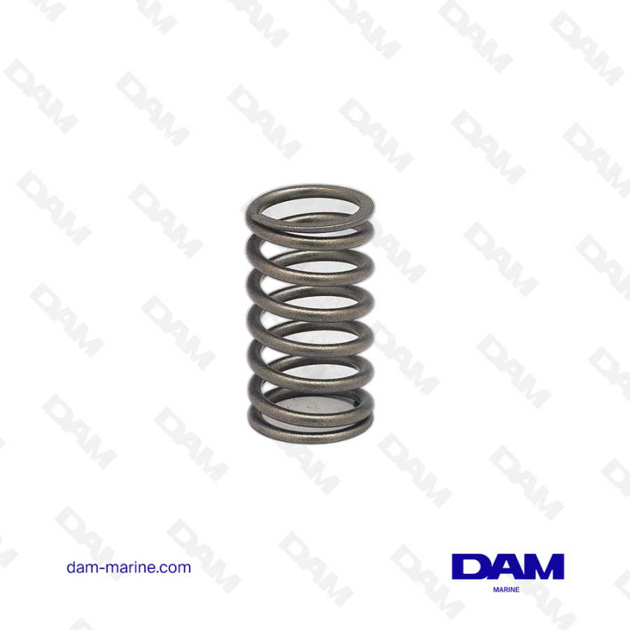 VOLVO VALVE SPRING