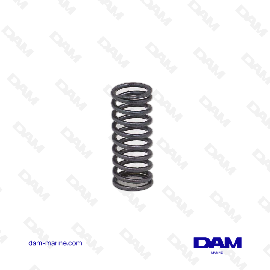 VOLVO VALVE SPRING