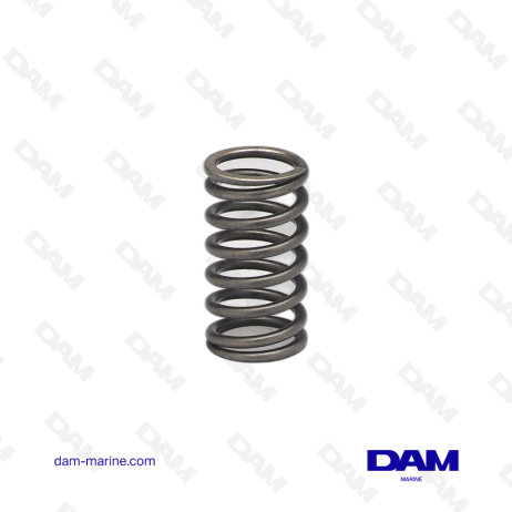 VOLVO VALVE SPRING