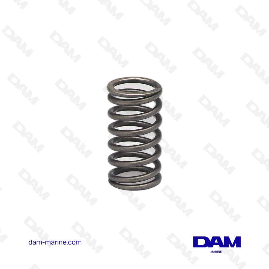 VOLVO VALVE SPRING