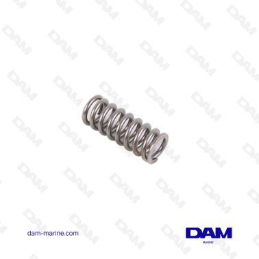 VOLVO VALVE SPRING