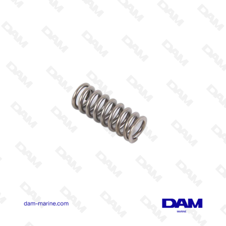 VOLVO VALVE SPRING