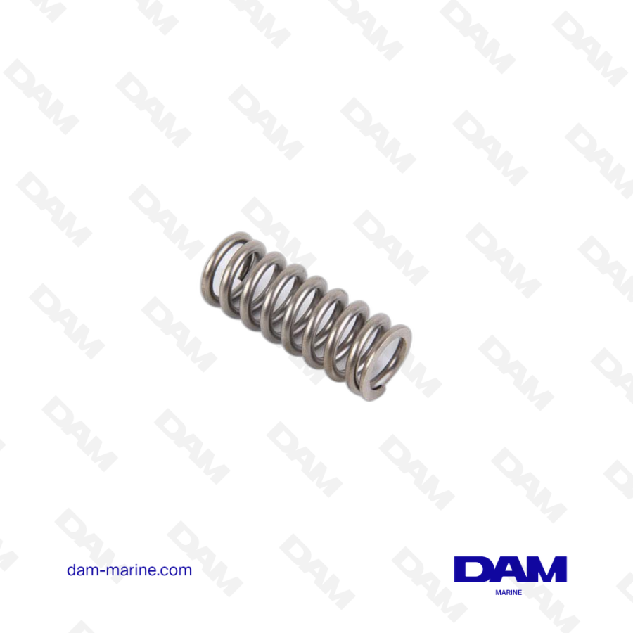 VOLVO VALVE SPRING