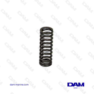 RESORTE DE VÁLVULA VOLVO