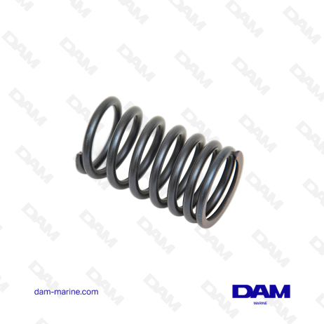 VOLVO VALVE SPRING