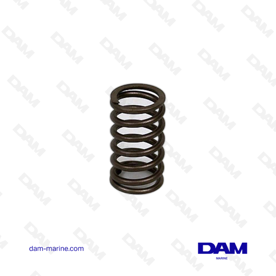 VOLVO VALVE SPRING