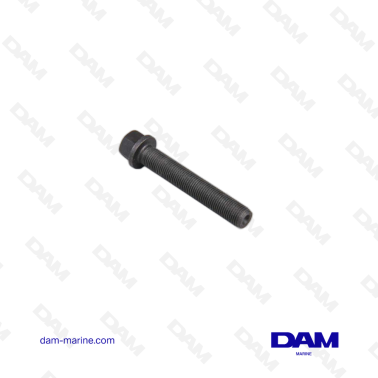 VOLVO CONNECTING ROD SCREW