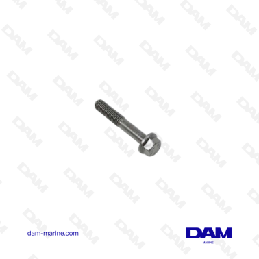 VOLVO CONNECTING ROD SCREW