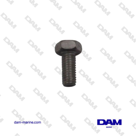 BRP OMC SCREW - 5030413*