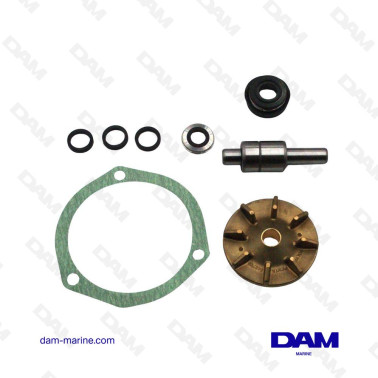 KIT DE REPARACIÓN DE BOMBA DE BRASSERIE VOLVO SERIE 2000