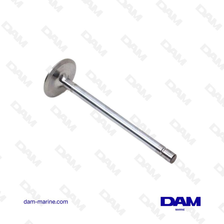 VOLVO INTAKE VALVE