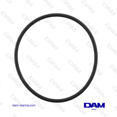 O-RING SCAMBIATORE DI MERCURIO