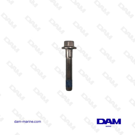 STAINLESS STEEL SCREW M6X35 MERCURY - 10-88552535