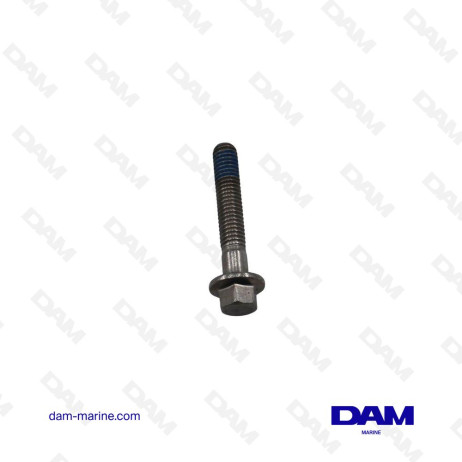 STAINLESS STEEL SCREW M6X35 MERCURY - 10-88552535