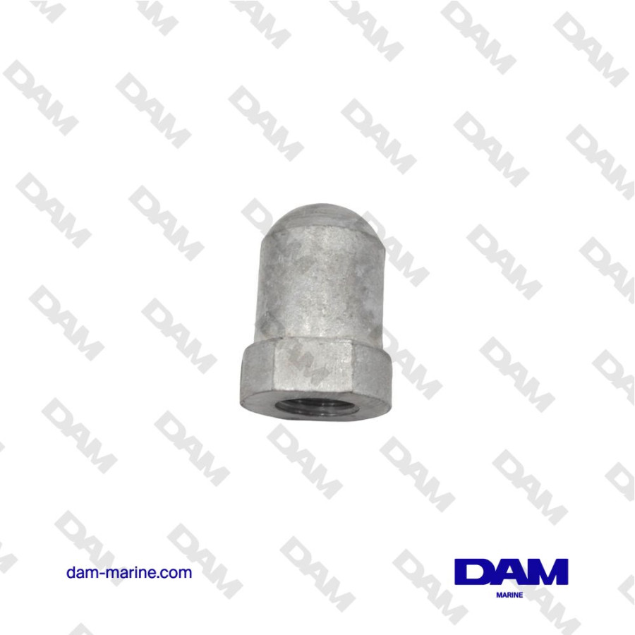 ANODE EMBOUT ARBRE Ø 22/25MM - 16X2MM - ZINC