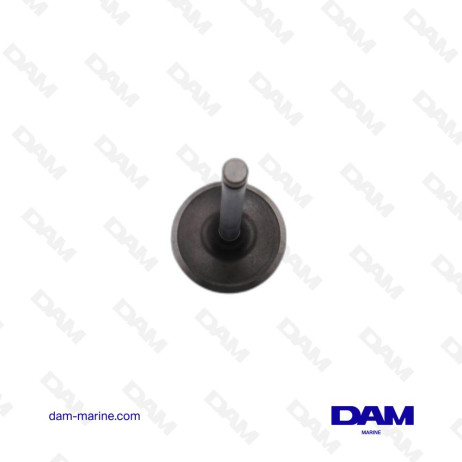 SOUPAP ADMISSION GM V6 (4.3L - 262CI) - GM V8 (Z5.7L - 350CI) RLI