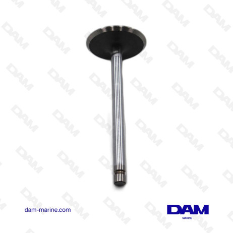 SOUPAP ADMISSION GM V6 (4.3L - 262CI) - GM V8 (5.7L - 350CI) RLI