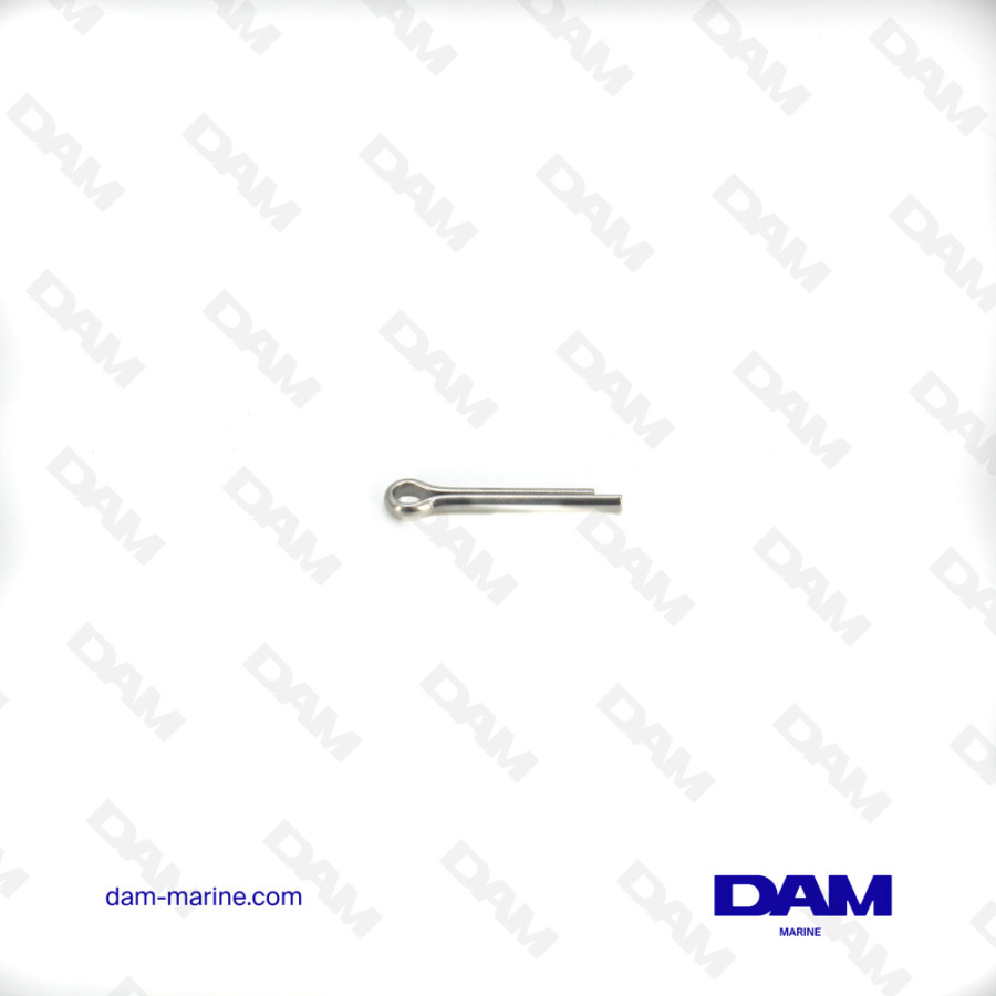 MERCURY PIN