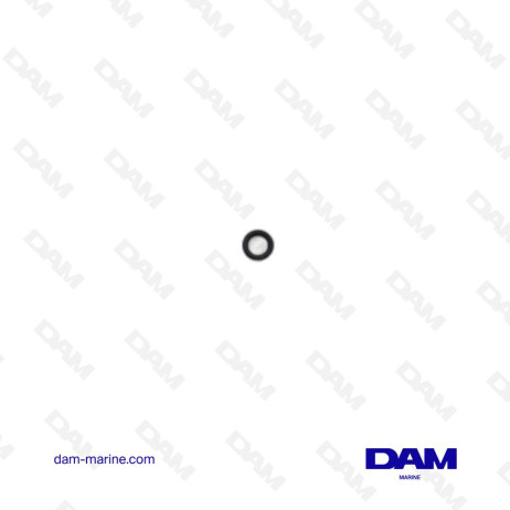 O-RING DI MERCURIO