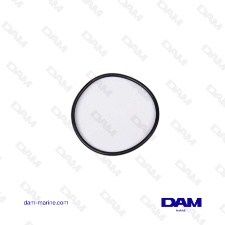 VOLVO O-RING