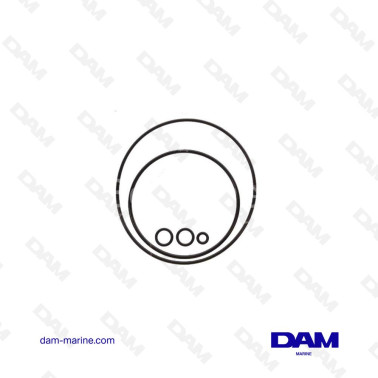 SUZUKI 48557-87J10 O-RING KIT