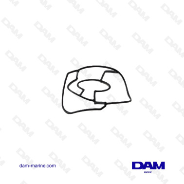 JUNTA DEL CUERPO DE LA...