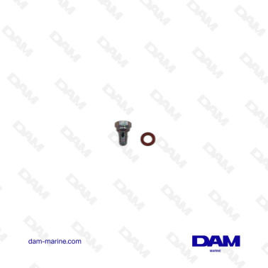 BLEED SCREW - WASHER VOLVO...