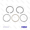 SEGMENTS GM153 - 283 STD
