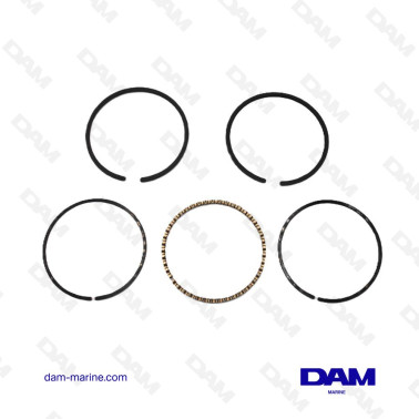 SEGMENTS GM153 - 283 0.30