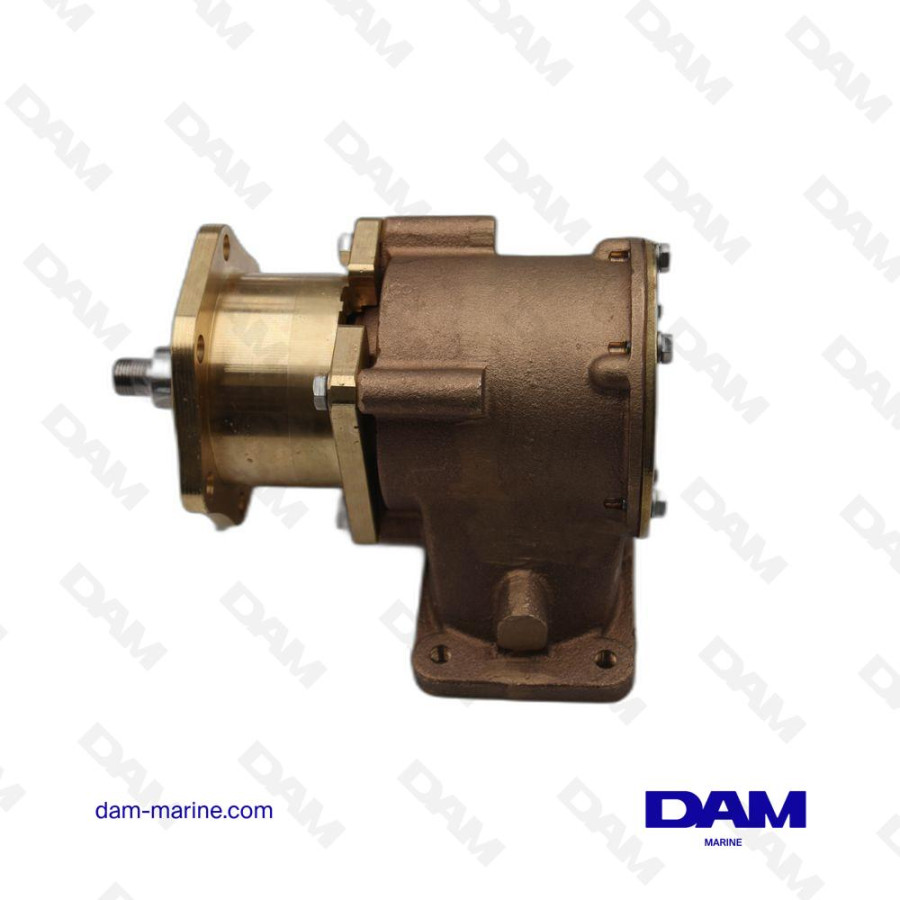MAN SEA WATER PUMP