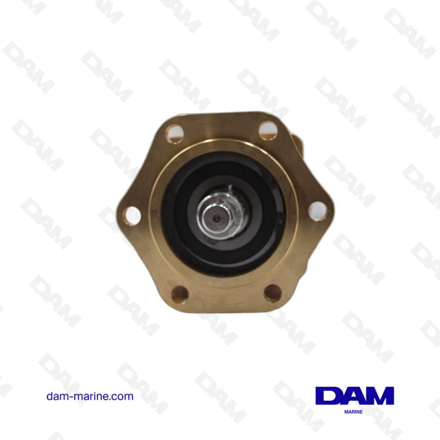MAN SEA WATER PUMP