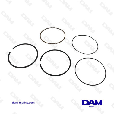 GM262 STD THIN SEGMENTS