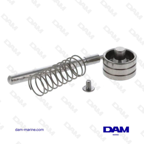ENSEMBLE PLONGEUR POMPE HONDA OEM 16123-ZY1-013