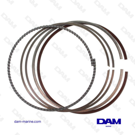 SEGREENTS MERCURY EFI - VERADO STD