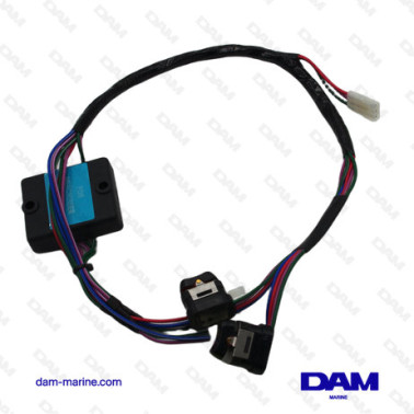 ARNÉS DE CABLEADO MERCURY
