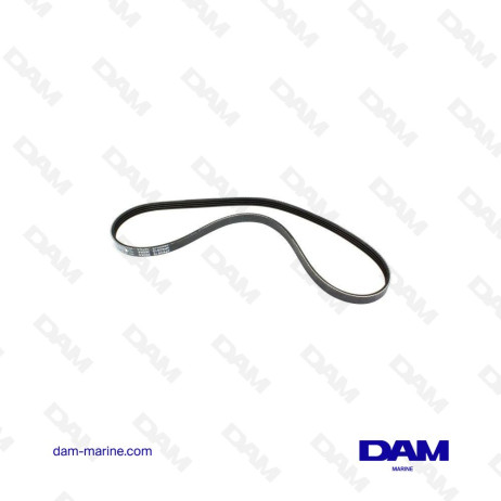 COURROIE SERPENTINE MERCURY 57-828507Q01