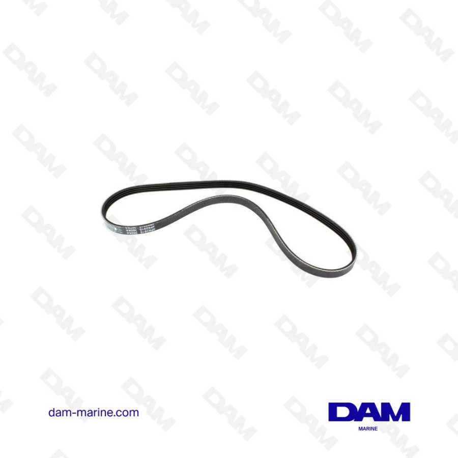 MERCURY SERPENTINE BELT 57-828507Q01