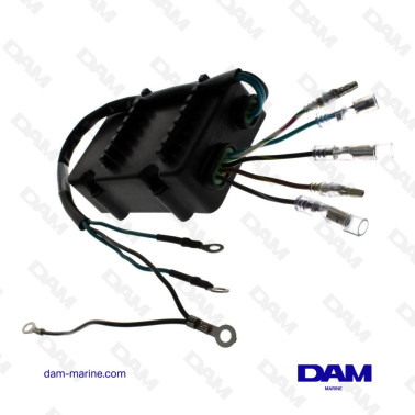 CAJA DE INTERRUPTORES 855713A3