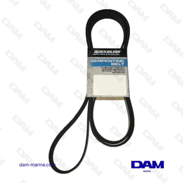 CORREA SERPENTINA...