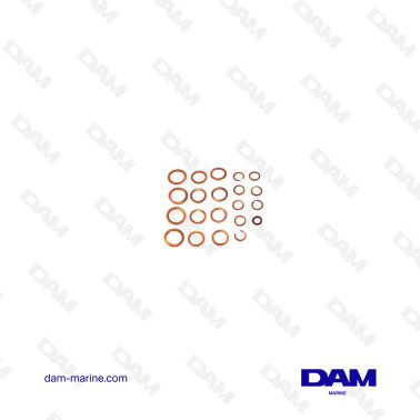 VOLVO D31/32 FUEL SEAL KIT