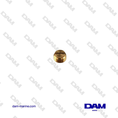 VIS DE BOUCHON HONDA OEM 16071-ZV4-005