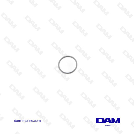 JOINT TORIQUE DEMARREUR HONDA OEM 16077-KG8-901