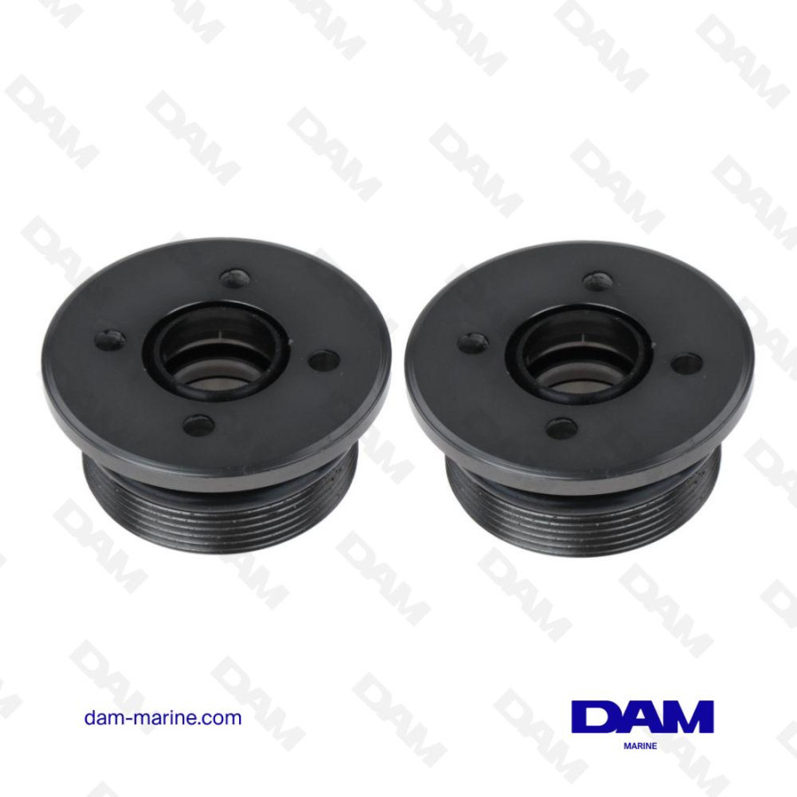 KIT 2 BOUCHONS DE VERIN E HONDA OEM 04602-ZY3-000