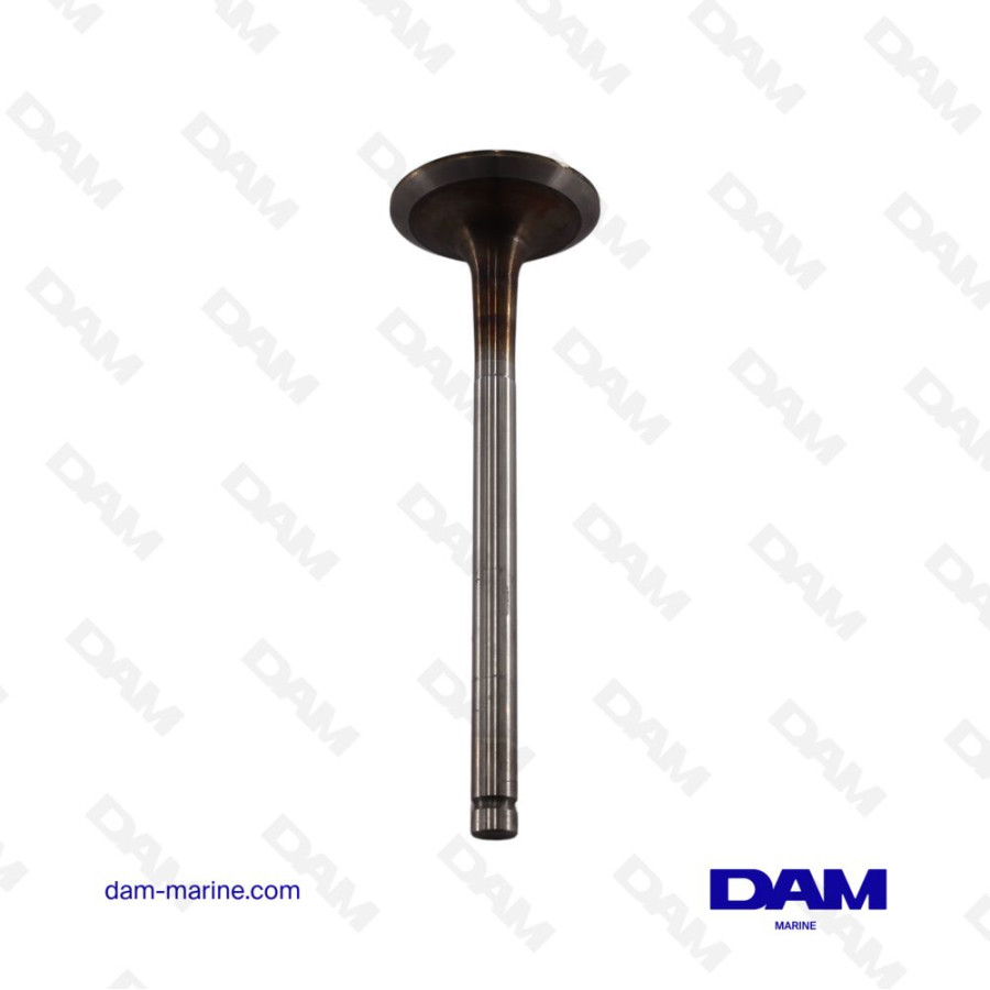 MERCRUISER INTAKE VALVE