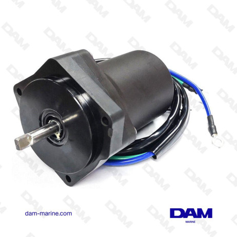 YAMAHA TRIM MOTOR - 6CJ-43880-13