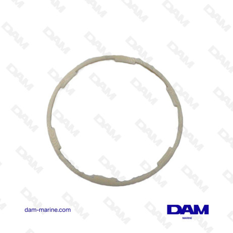 JOINT FILTRE A GASOIL NANNI OEM*