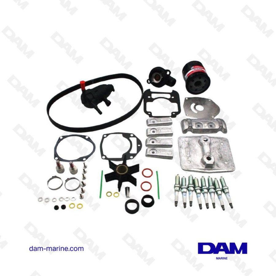KIT DI MANUTENZIONE MERCURY V8 4.6L - 300 ORE