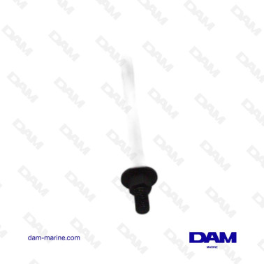 VIS DE CULASSE VOLVO SERIE 22 - 859663 - 110MM
