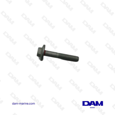 VIS DE DAMPER PCM 6.0 LSA